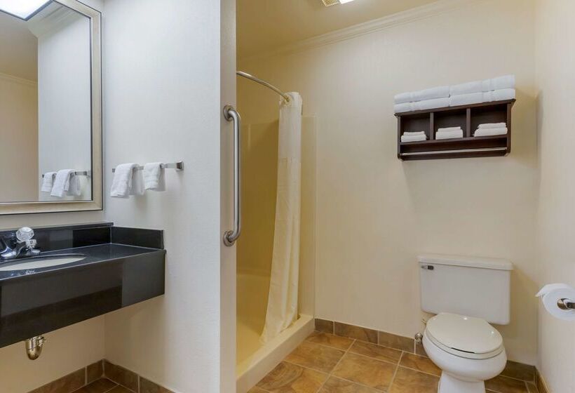 בית מלון כפרי Best Western Davison Inn