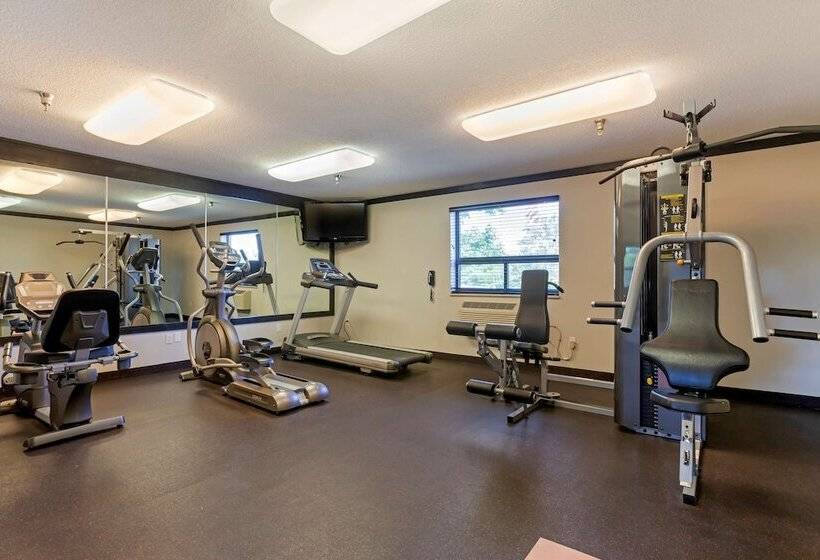 בית מלון כפרי Best Western Davison Inn