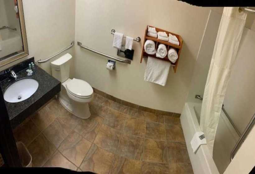 בית מלון כפרי Best Western Davison Inn