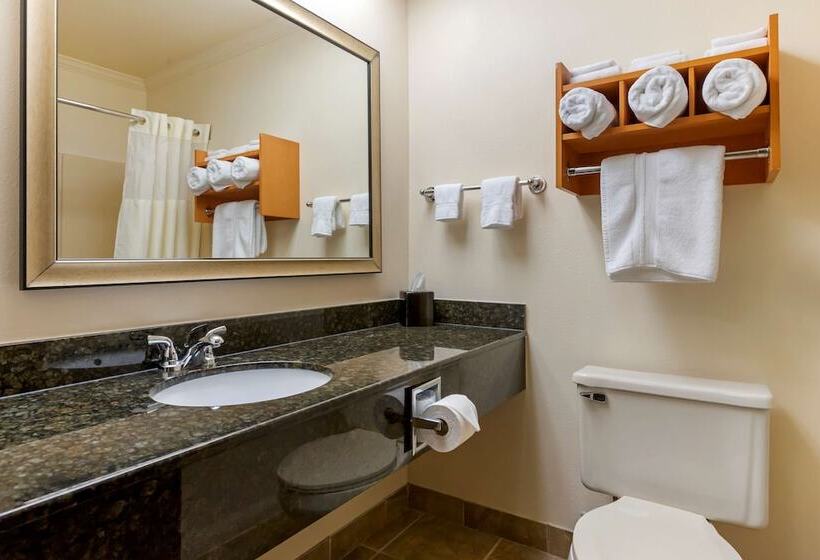 בית מלון כפרי Best Western Davison Inn