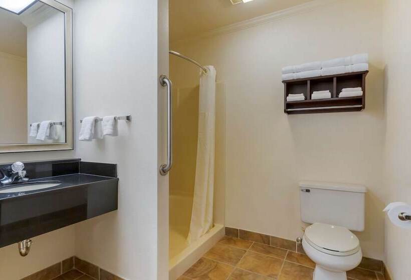 בית מלון כפרי Best Western Davison Inn