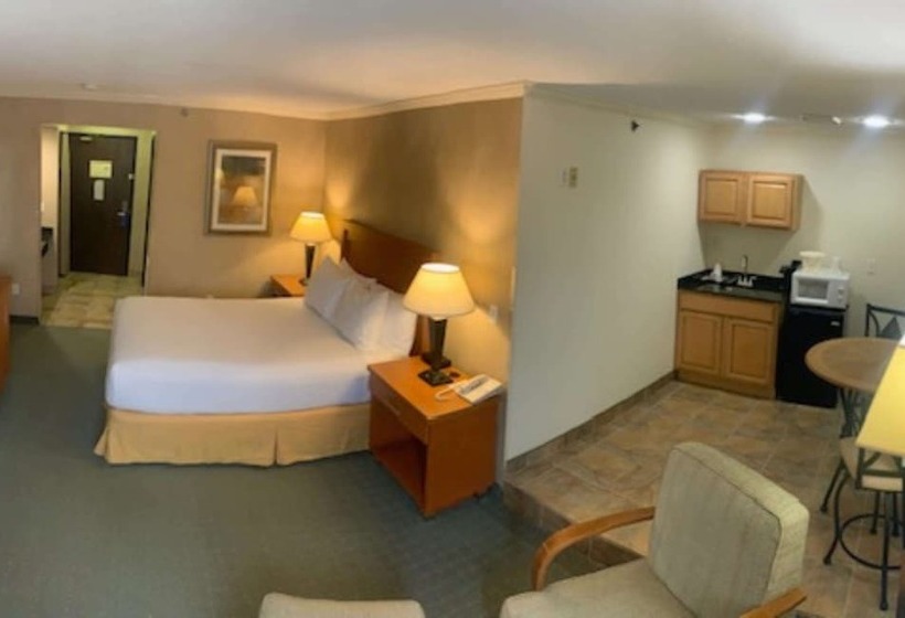 בית מלון כפרי Best Western Davison Inn