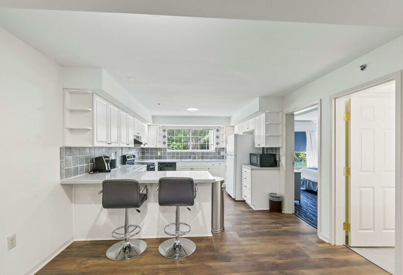 Best Western Plus Lake Lanier Gainesville Hotel & Suites