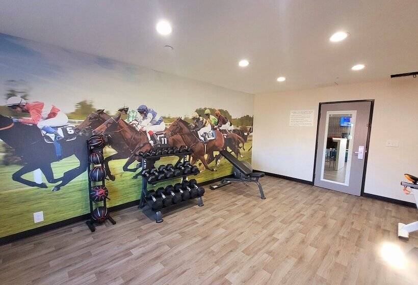 בית מלון כפרי Clarion Pointe Harrodsburgdanville