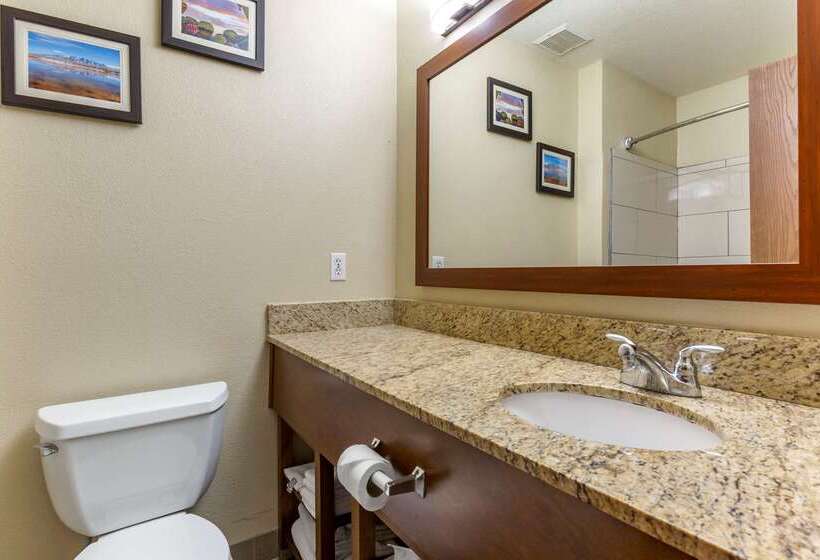 Отель Comfort Inn & Suites Alameda At Albuquerque Balloon Fiesta Park