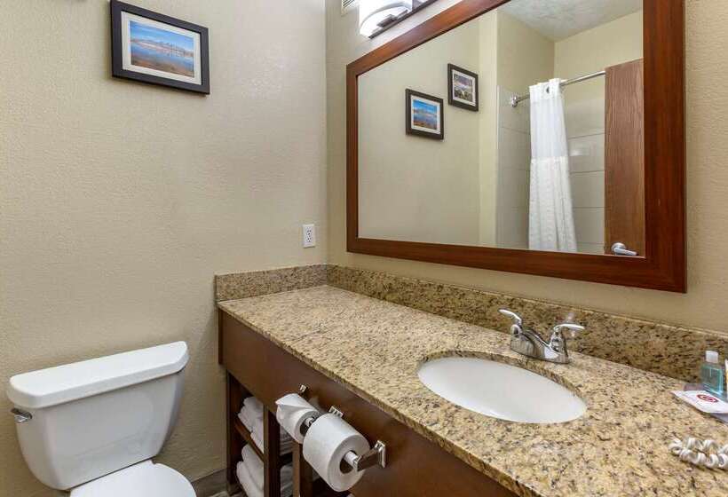 Отель Comfort Inn & Suites Alameda At Albuquerque Balloon Fiesta Park