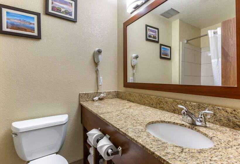 Отель Comfort Inn & Suites Alameda At Albuquerque Balloon Fiesta Park