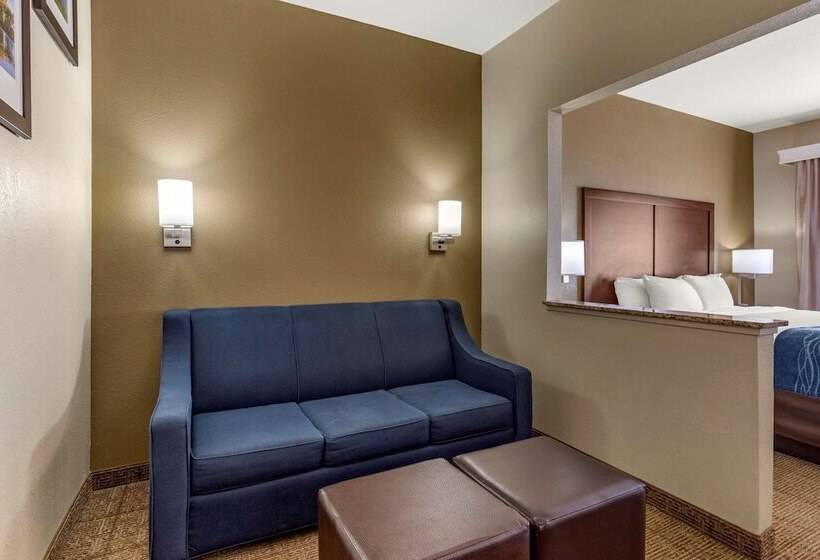 Отель Comfort Inn & Suites Alameda At Albuquerque Balloon Fiesta Park