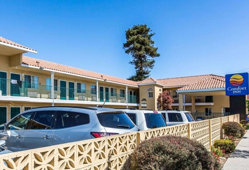 فندق Comfort Inn Boardwalk