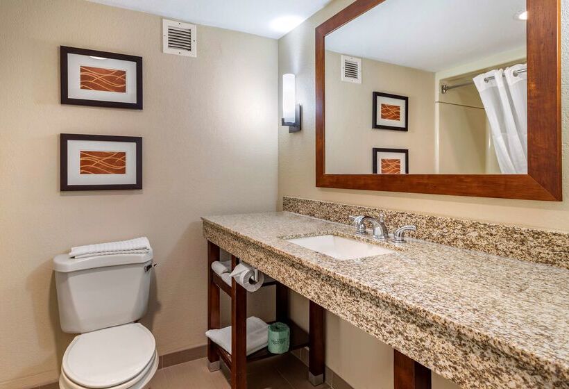 فندق Comfort Inn Biltmore West