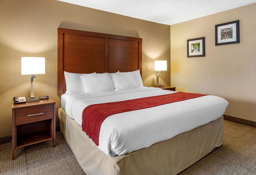 فندق Comfort Inn Biltmore West