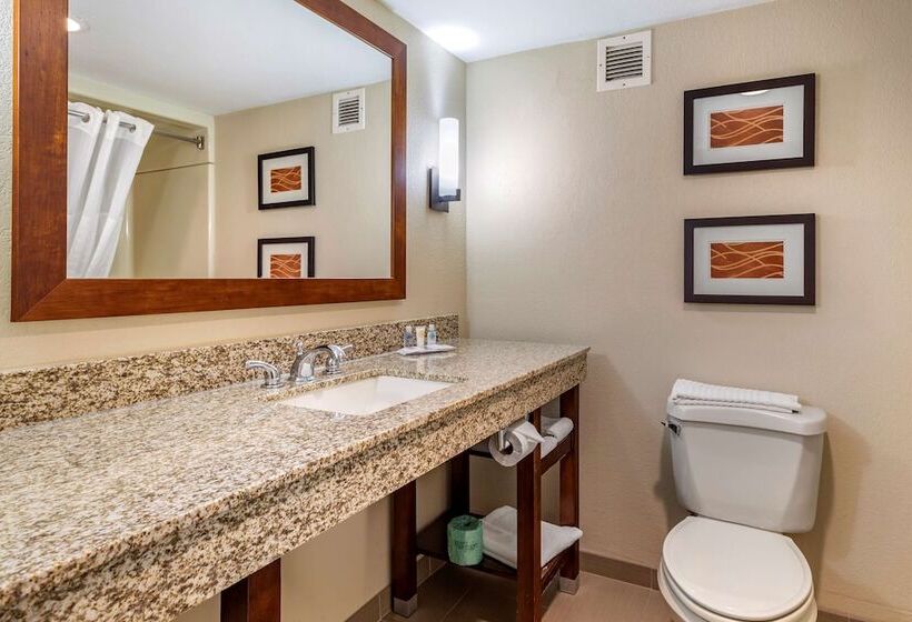 فندق Comfort Inn Biltmore West