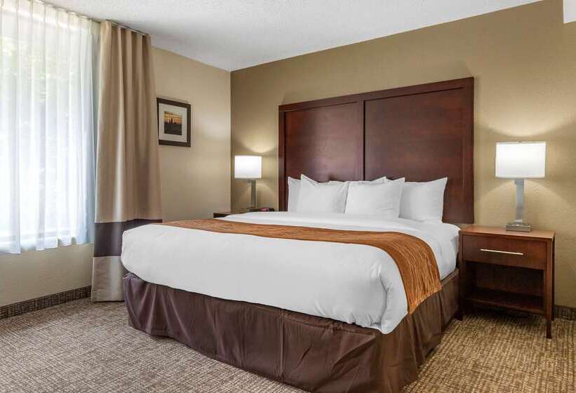 Отель Comfort Inn Charlotte Airport Uptown