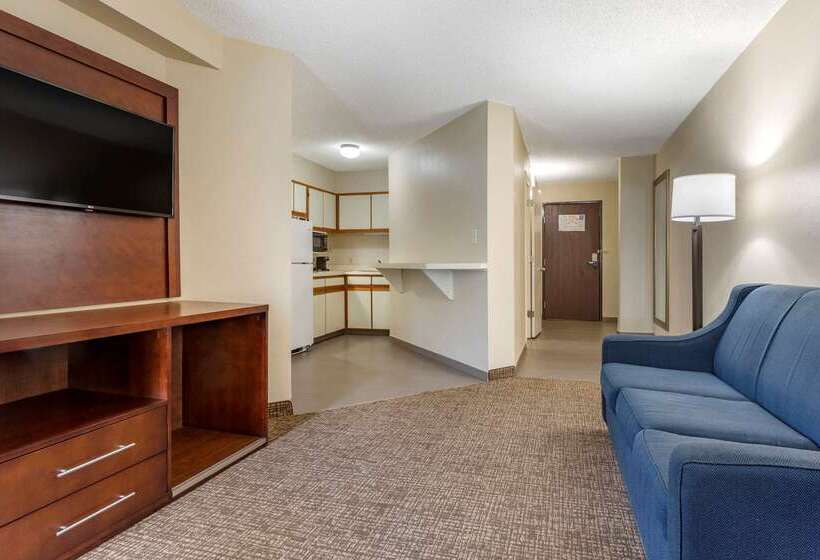 Отель Comfort Inn Charlotte Airport Uptown