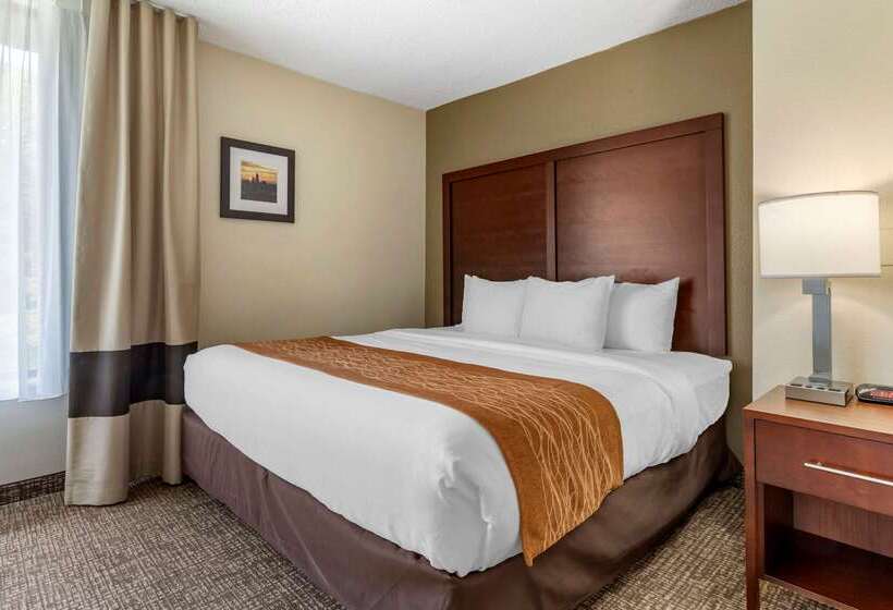 호텔 Comfort Inn Charlotte Airport Uptown
