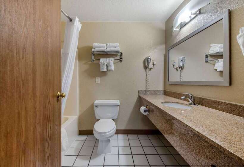 Отель Comfort Inn Denver Southeast Area