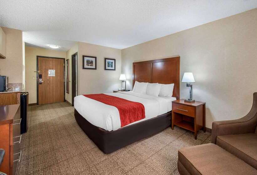 Отель Comfort Inn Denver Southeast Area