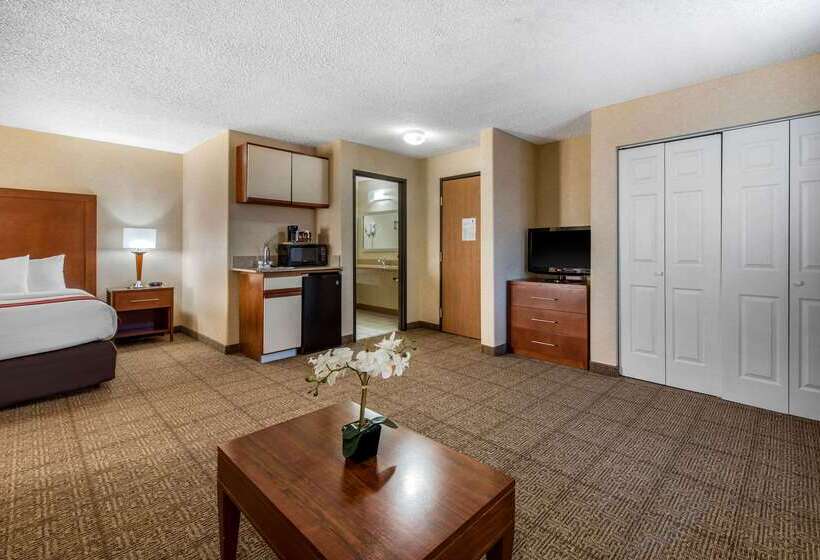 Отель Comfort Inn Denver Southeast Area