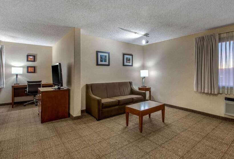 Отель Comfort Inn Denver Southeast Area