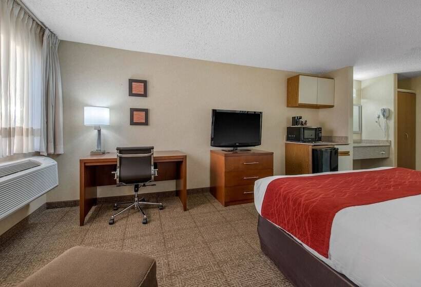 Отель Comfort Inn Denver Southeast Area