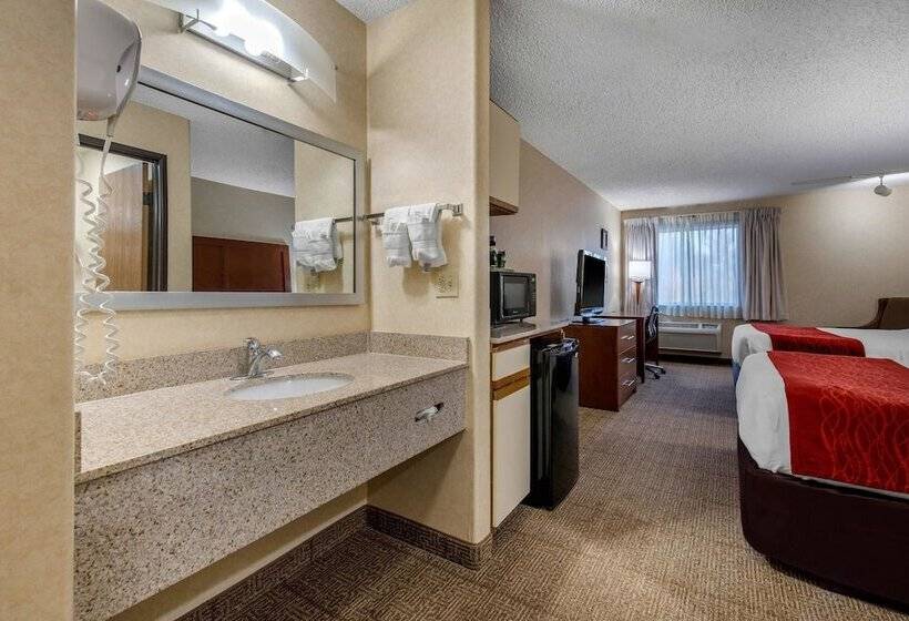 Отель Comfort Inn Denver Southeast Area