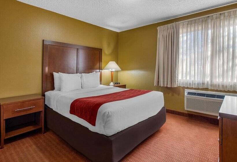 Отель Comfort Inn Denver Southeast Area