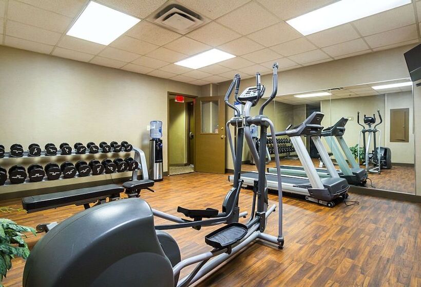 בית מלון כפרי Comfort Inn Downtown