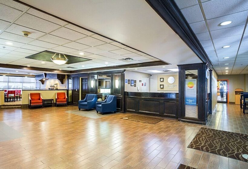 בית מלון כפרי Comfort Inn Downtown