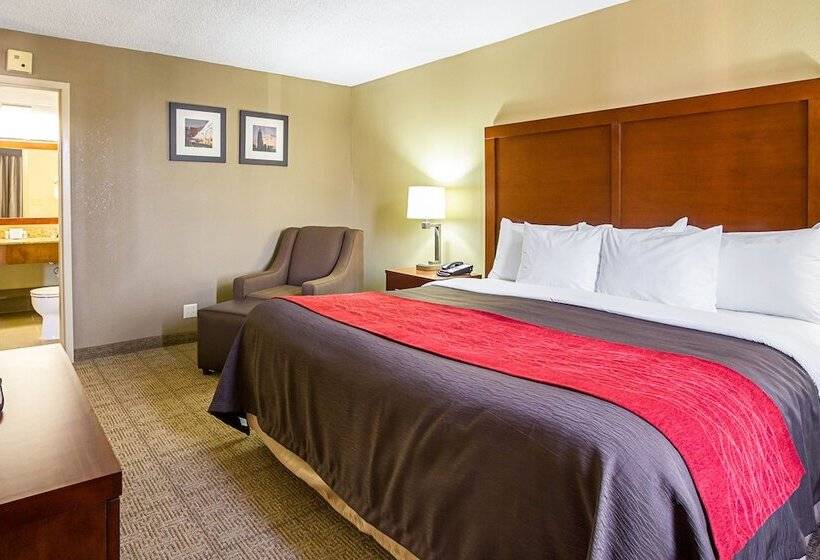 בית מלון כפרי Comfort Inn Downtown