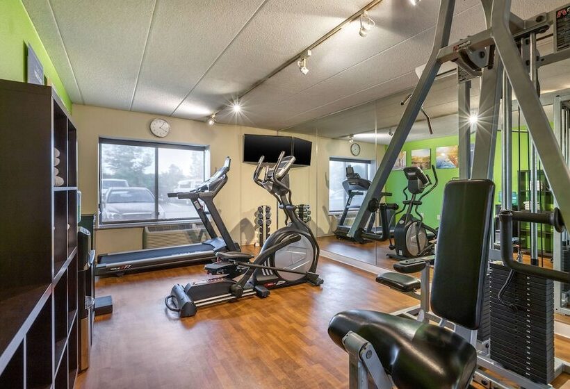 Отель Comfort Inn Grand Rapids Airport