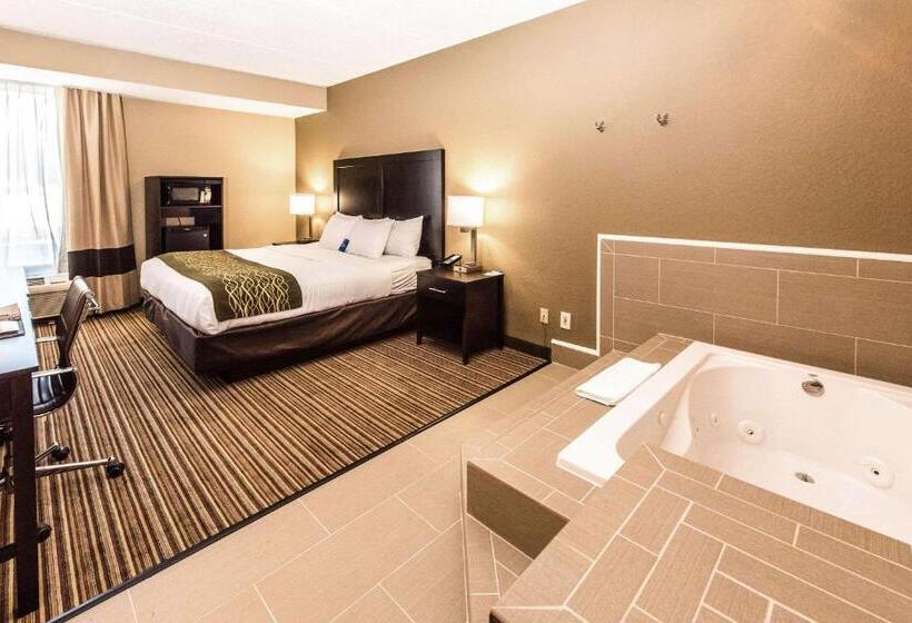 ホテル Comfort Inn Lehigh Valley West