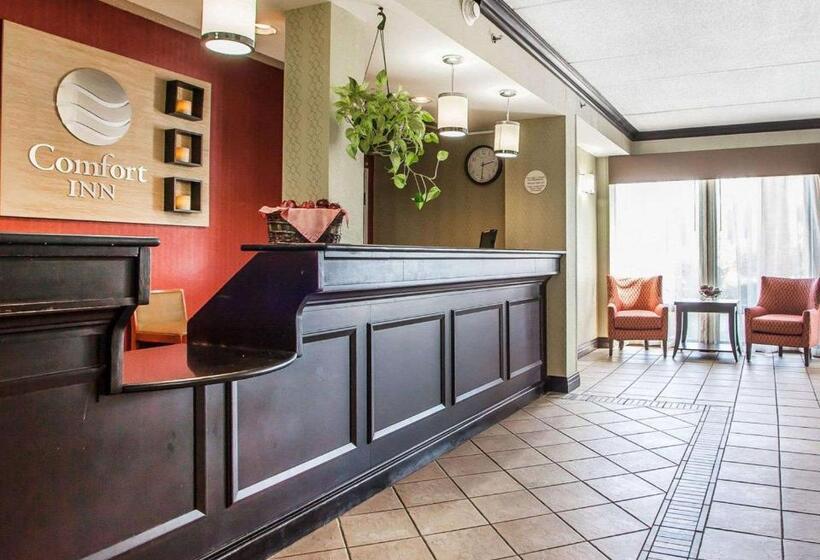 ホテル Comfort Inn Lehigh Valley West