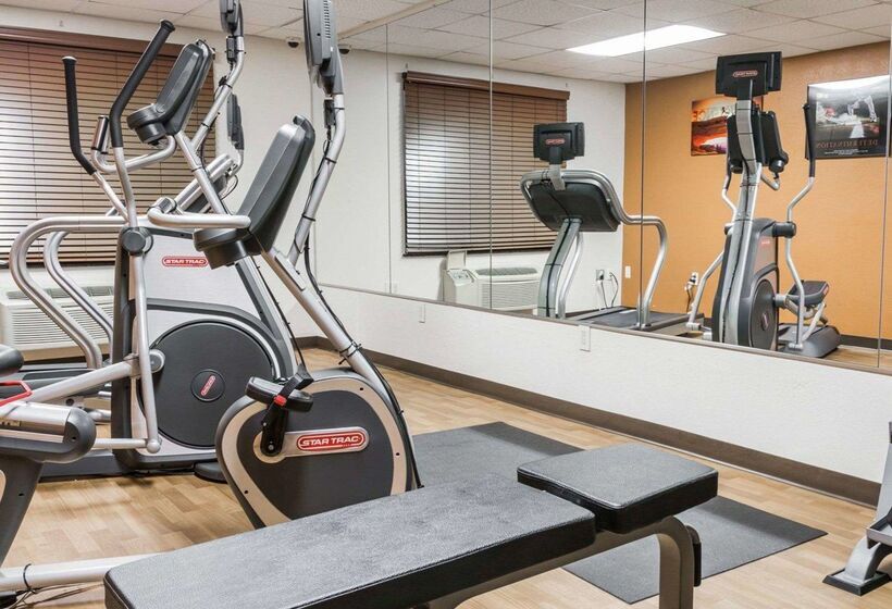 酒店 Comfort Inn Metro Airport