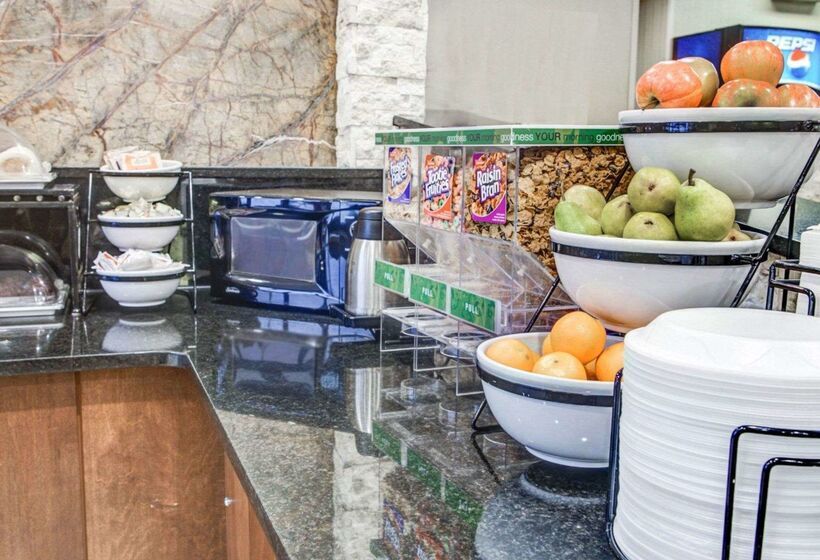 酒店 Comfort Inn Metro Airport