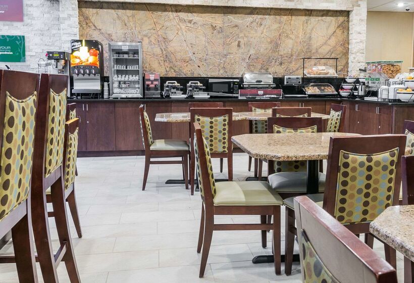 酒店 Comfort Inn Metro Airport