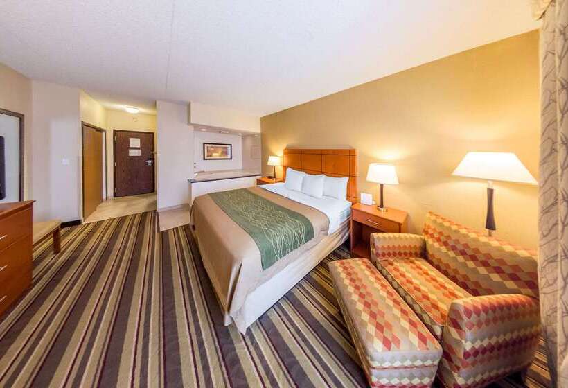 酒店 Comfort Inn Metro Airport