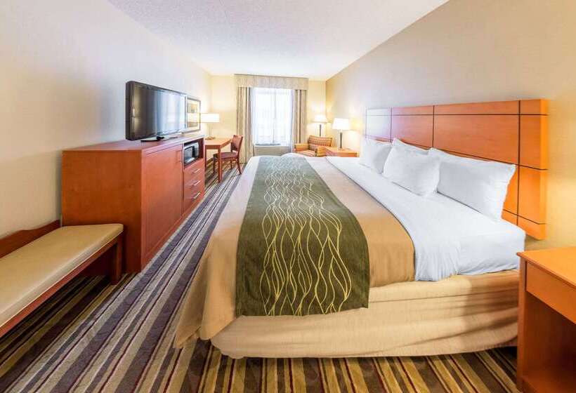 酒店 Comfort Inn Metro Airport