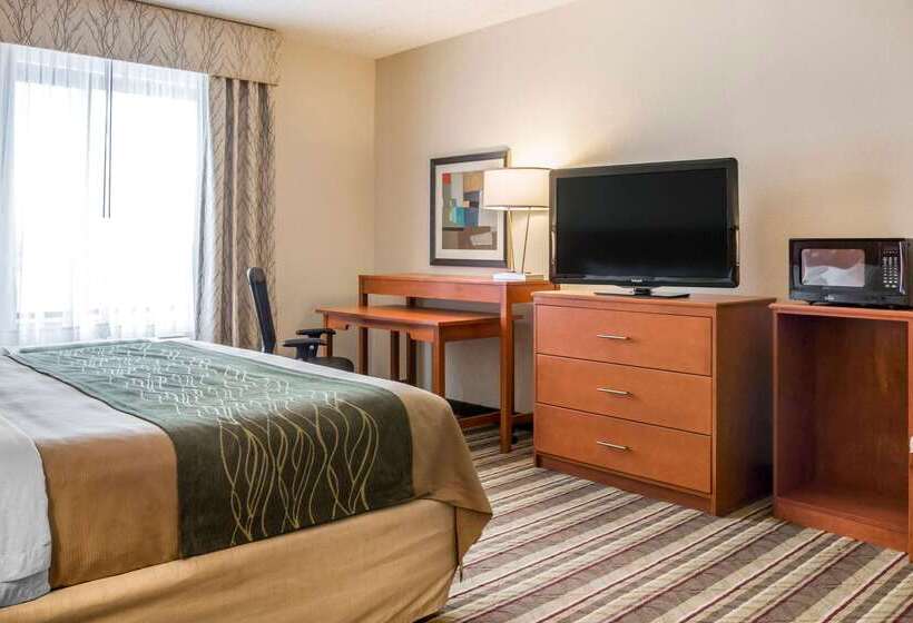 酒店 Comfort Inn Metro Airport