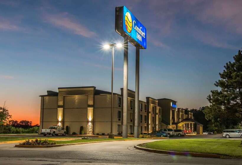 酒店 Comfort Inn Metro Airport