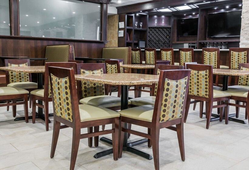 酒店 Comfort Inn Metro Airport