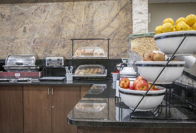 酒店 Comfort Inn Metro Airport