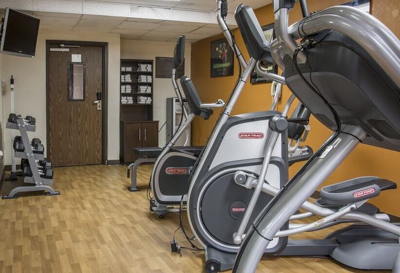 酒店 Comfort Inn Metro Airport