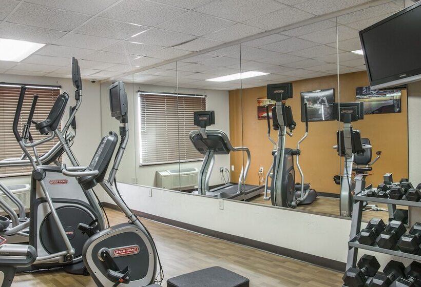 酒店 Comfort Inn Metro Airport