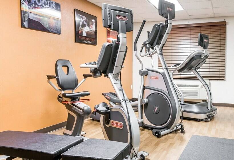 酒店 Comfort Inn Metro Airport