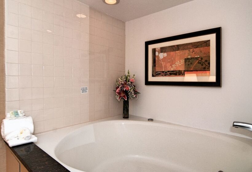 酒店 Comfort Inn Metro Airport