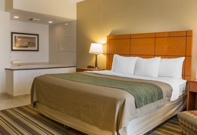 酒店 Comfort Inn Metro Airport