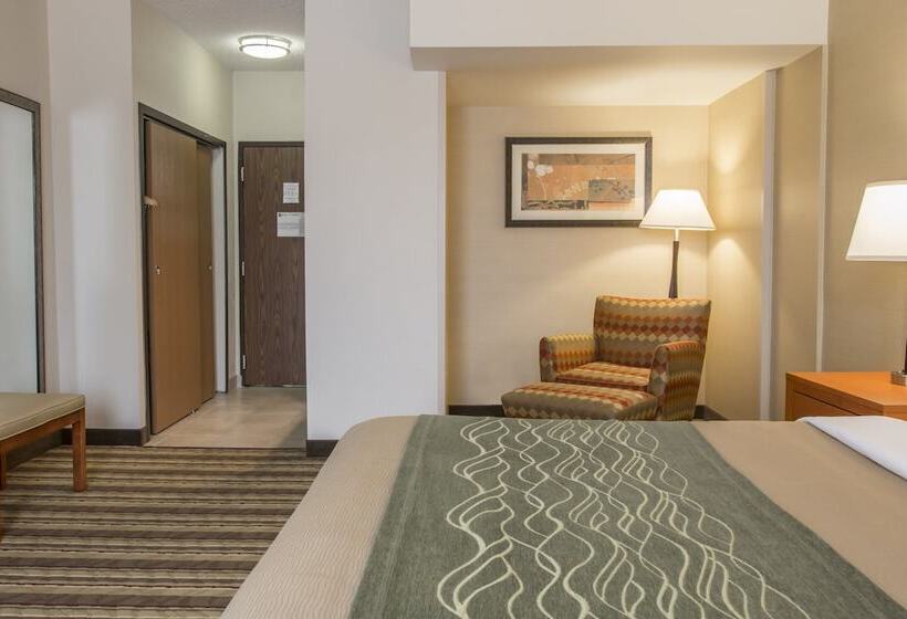 酒店 Comfort Inn Metro Airport