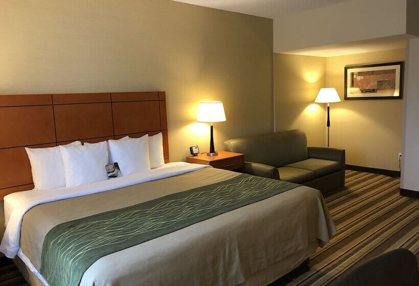 酒店 Comfort Inn Metro Airport