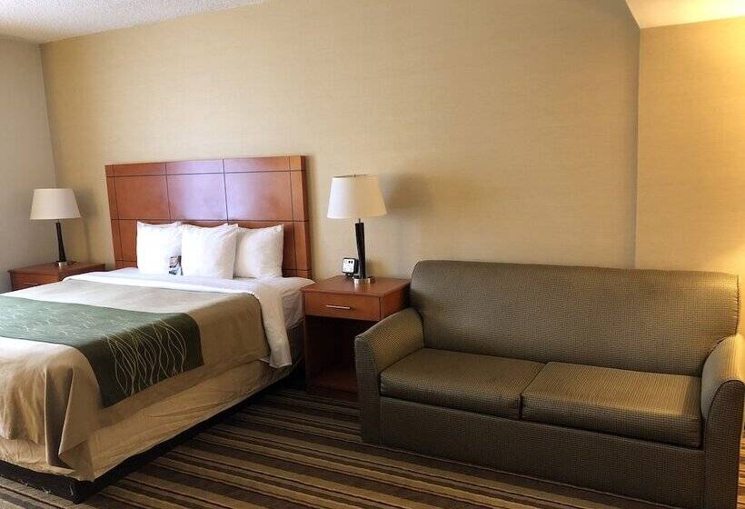 酒店 Comfort Inn Metro Airport