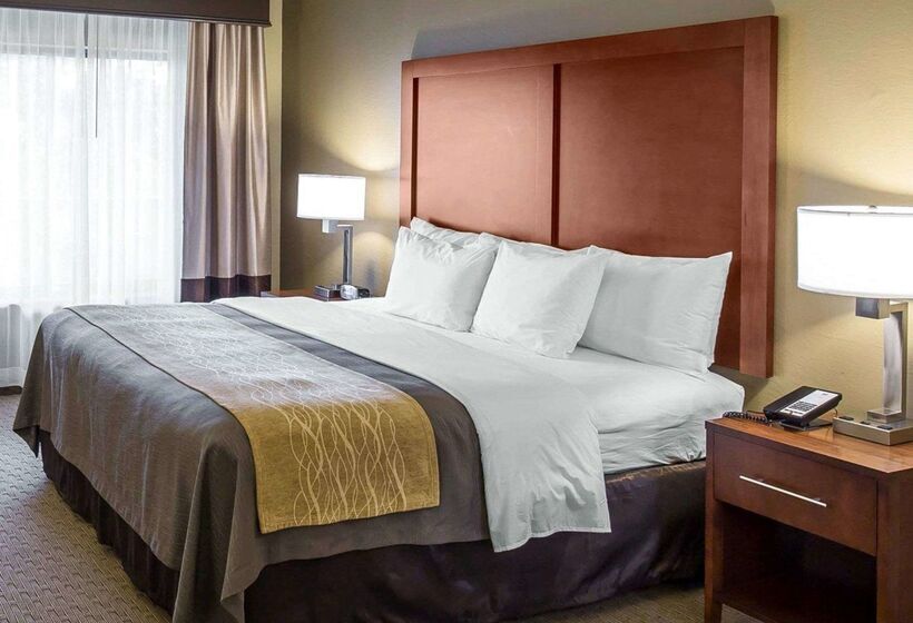 فندق Comfort Inn Naples East I75